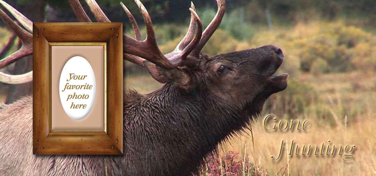 P 313 FR Gone Hunting (Elk)